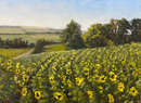 „Sonnenblumenfeld", Öl auf Malplatte, 20 x 30 cm, 2021