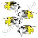 Fähnchen Falterfisch