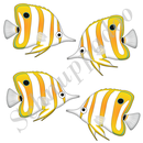 Chelmon rostratus