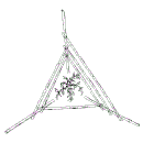 Trichter-Rankgerüst für Wildtomaten - Göttinger System (Draufsicht)