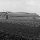 Hoeve welgelegen in 1968, ons huidige verenigingsgebouw.