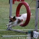 Landesmeisterschaft 2008
