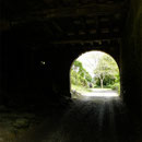 Photo M. H. CINGAL - 2010