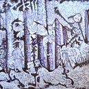 BETSLA 30X300