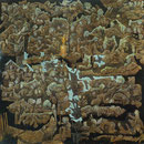 ALDEBARAN 100X100