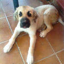 Yo a 4 mese