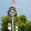 Maibaum Klosterstraße Kloster Kamp in Kamp-Lintfort Ndrh.