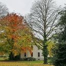 Parksituation im Herbstaspekt, Foto HK., Aufnahme-Datum: 19. 11. 2017