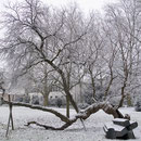 Winteraspekt, Aufnahme-Datum: 01.01.2009