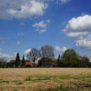 Sassenhof mit dem Denkmal-Baum. Foto H.Kuhlen, Aufnahmedatum 12.04.2016