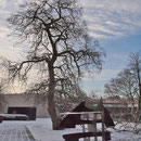 Skulptur im Winteraspekt mit dem Catalpa-Baum im Hintergrund, Aufnahme-Datum: 08.12.2012