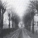 Historische Aufnahme der Allee, im Hintergrund Haus Kaldenhausen