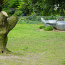 Skulptur mit gekappter Hainbuche, Aufnahme-Datum: 23.04.2017