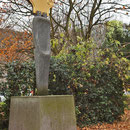 Wildwuchs von Holunder inmitten der Ilex-Bepflanzung, Aufnahme-Datum: 03.12.2012