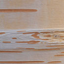 Inneres Rindenbild einer Papier-Birke, Betula papyrifera