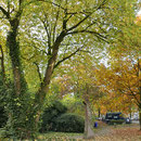 Herbst-Impression, Blick auf den Parkplatz, Aufnahme-Datum: 30.10.2016