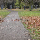 Herbst-Aspekt, Aufnahme-Datum: 13.12.2012