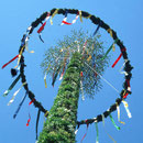 Maibaum am Rathaus Ronnerburg in Thüringen