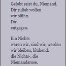 Textdetail über die Niemandsrose aus Psalm von Paul Celan