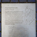 Informationstafel der Säulenpappeln, Aufnahme-Datum: 12.02.2017