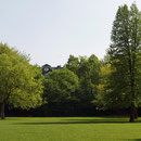 Partie im Park mit der Türkischen Baumhasel (rechts im Bild) Foto HK.; Aufnahme-Datum: 21.04.2018