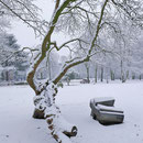 Winteraspekt, Aufnahme-Datum: 11.02.2017