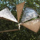Ginkgo-Blätter ähnliche Segmente, Aufnahme-Datum: 11.08.2014