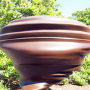 Detail Kopf, Aufnahme-Datum: 10.07.2015