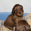 unser kleiner Emilio auch liebevoll Emilchen genannt