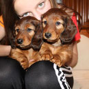 unsere Jungs, links Benedikt, rechts Bugatti