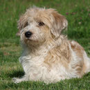 Maggie,  11. Juni 2007