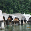 Am Königsee.