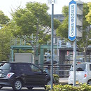 地球33番地通り