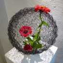 Arrangement im Drahtnest