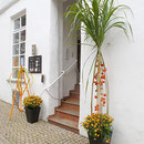 Eingang zur Galerie C, Engelgasse 4