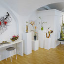 Ikebana-Ausstellung  -  GALERIE C / Ansicht 01
