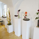 Ikebana-Ausstellung  -  GALERIE C / Ansicht 02