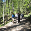 Ausflug 2011