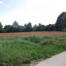Volksradln 2011