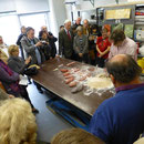 Vorführung Stuckmarmorherstellung Tag des Denkmals 2013 Atelier Mahr