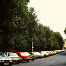 1981