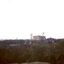 1981