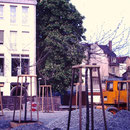 1988