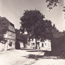 Oberndorf  - Friedenslinde am Glockenhof