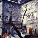 1991