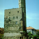 1981