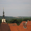 2006