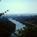 1981