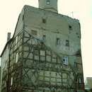1981