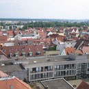2006
